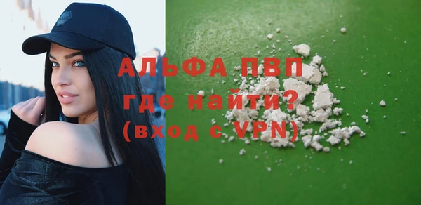 крисы Алзамай