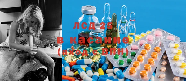 крисы Алзамай