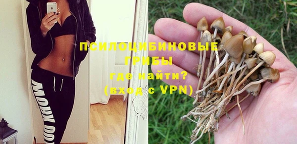 гидропоника Алексин