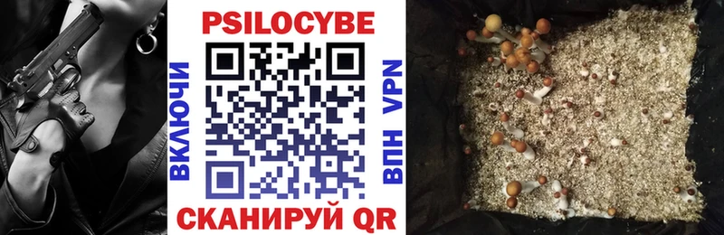Галлюциногенные грибы Cubensis  МЕГА зеркало  Междуреченск  где найти наркотики 